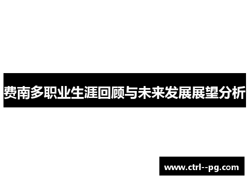 费南多职业生涯回顾与未来发展展望分析 费南多职业生涯回顾与未来发展展望分析